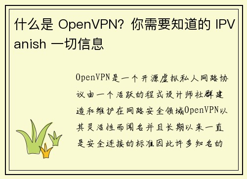 什么是 OpenVPN？你需要知道的 IPVanish 一切信息